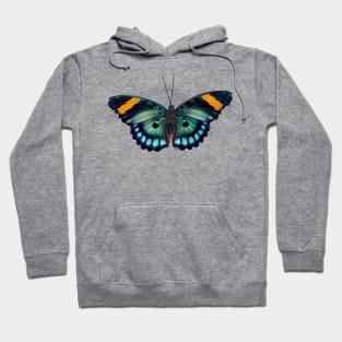 Blue and black striped Butterfly Hoodie